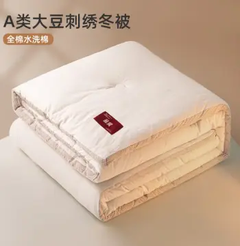 2025新款A类品质水洗棉大豆刺绣加厚秋冬被学生单双人保暖被芯